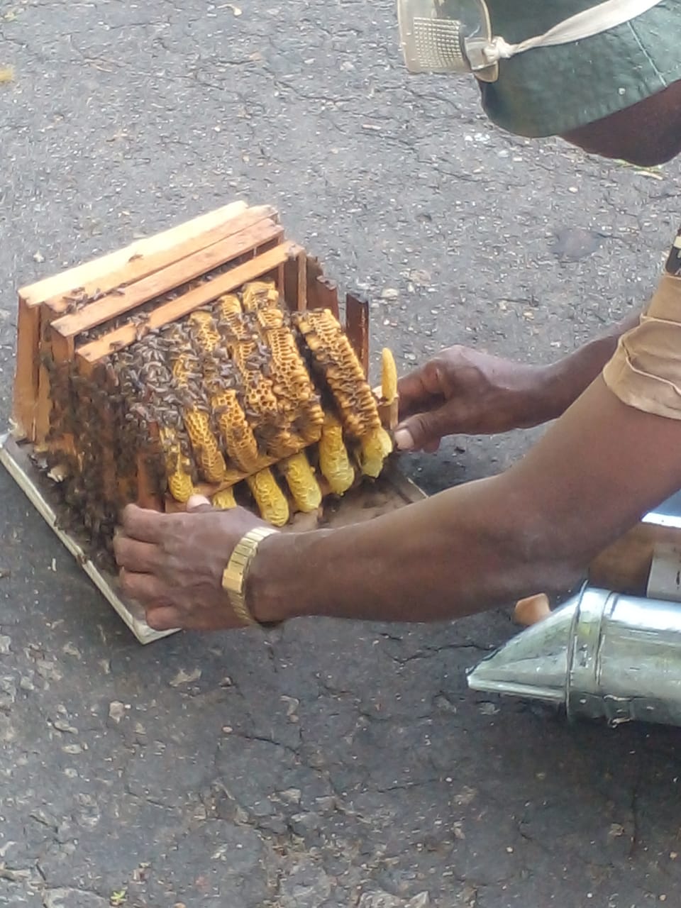 Activities Image